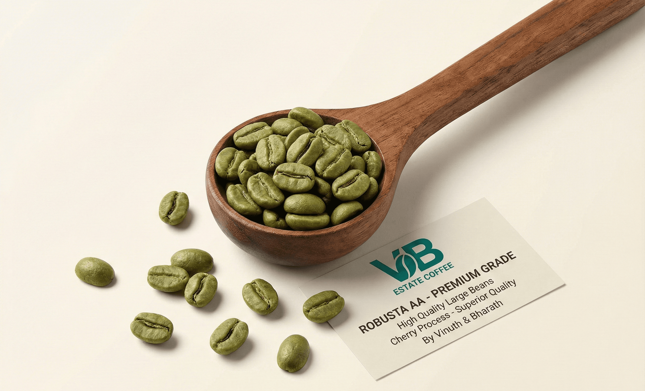 Robusta Screen 17 Green Coffee Beans - Commercial Grade - India Export | VB Exports